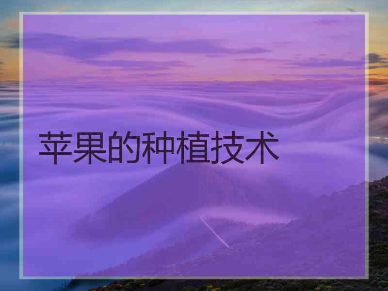 苹果的种植技术 苹果的种植技术
