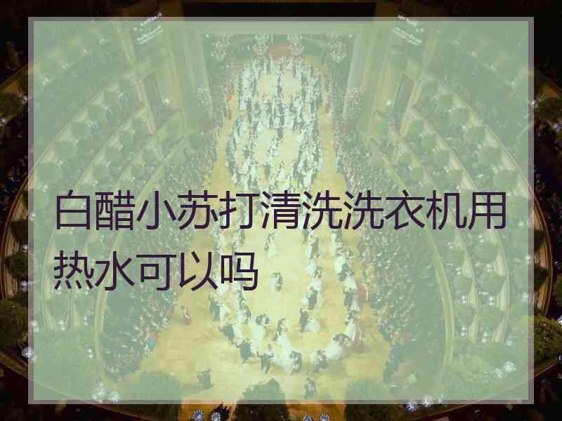 白醋小苏打清洗洗衣机用热水可以吗 白醋小苏打清洗洗衣机用热水可以吗
