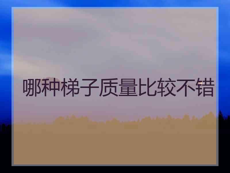 哪种梯子质量比较不错 哪种梯子质量比较不错