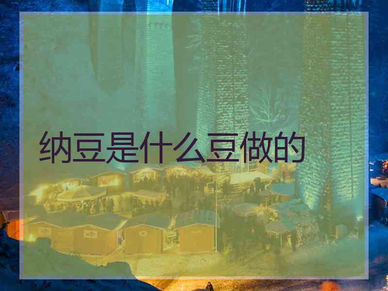 纳豆是什么豆做的 纳豆是什么豆做的