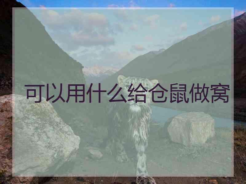 可以用什么给仓鼠做窝 可以用什么给仓鼠做窝