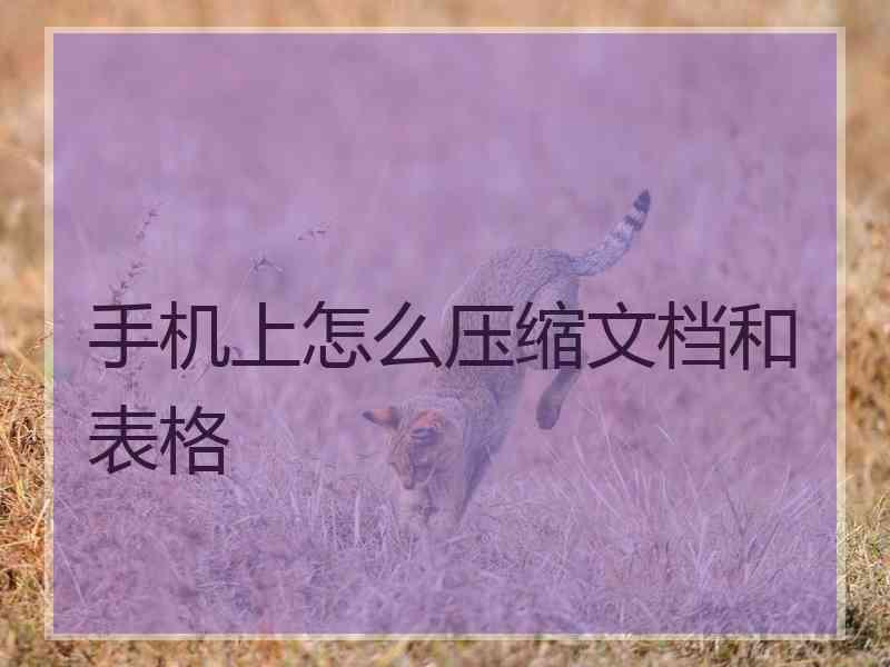 手机上怎么压缩文档和表格 手机上怎么压缩文档和表格