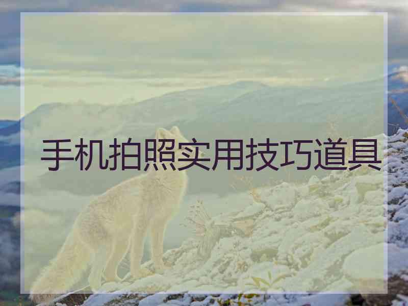 手机拍照实用技巧道具 手机拍照实用技巧道具
