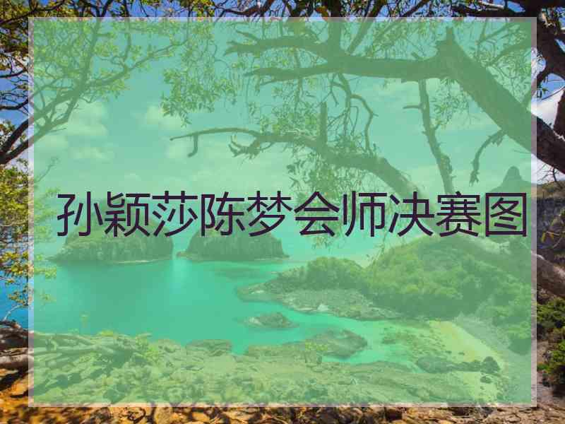 孙颖莎陈梦会师决赛图 孙颖莎陈梦会师决赛图