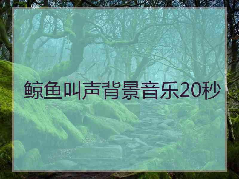 鲸鱼叫声背景音乐20秒 鲸鱼叫声背景音乐20秒