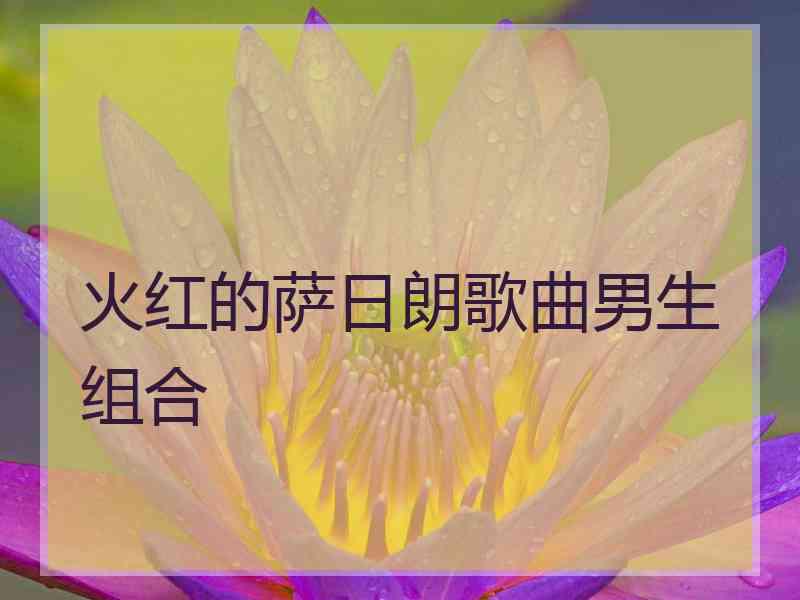 火红的萨日朗歌曲男生组合 火红的萨日朗歌曲男生组合