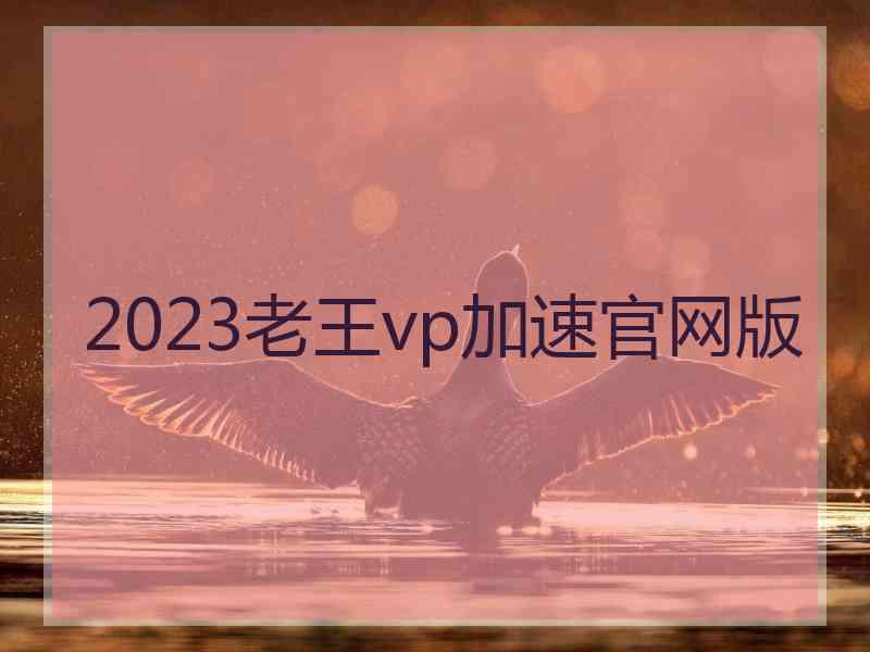 2023老王vp加速官网版 2023老王vp加速官网版