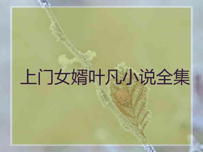 上门女婿叶凡小说全集 上门女婿叶凡小说全集