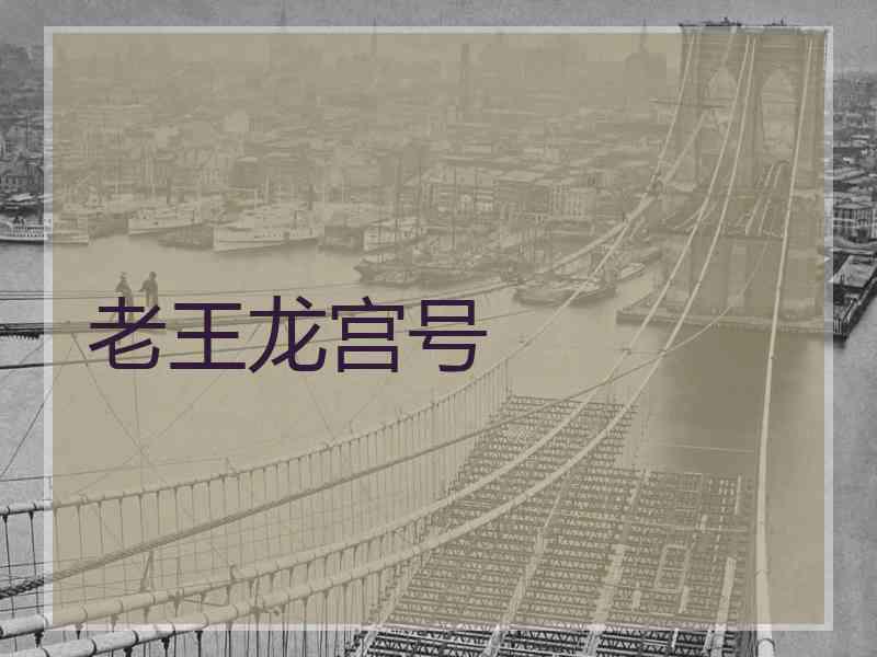 老王龙宫号 老王龙宫号