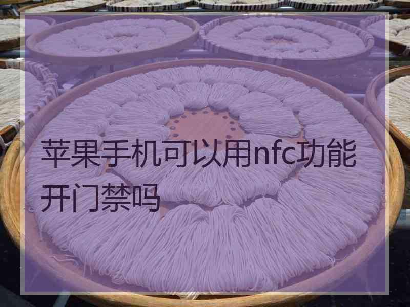 苹果手机可以用nfc功能开门禁吗 苹果手机可以用nfc功能开门禁吗