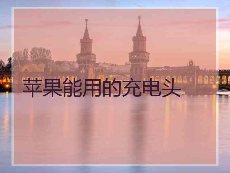 苹果能用的充电头 苹果能用的充电头