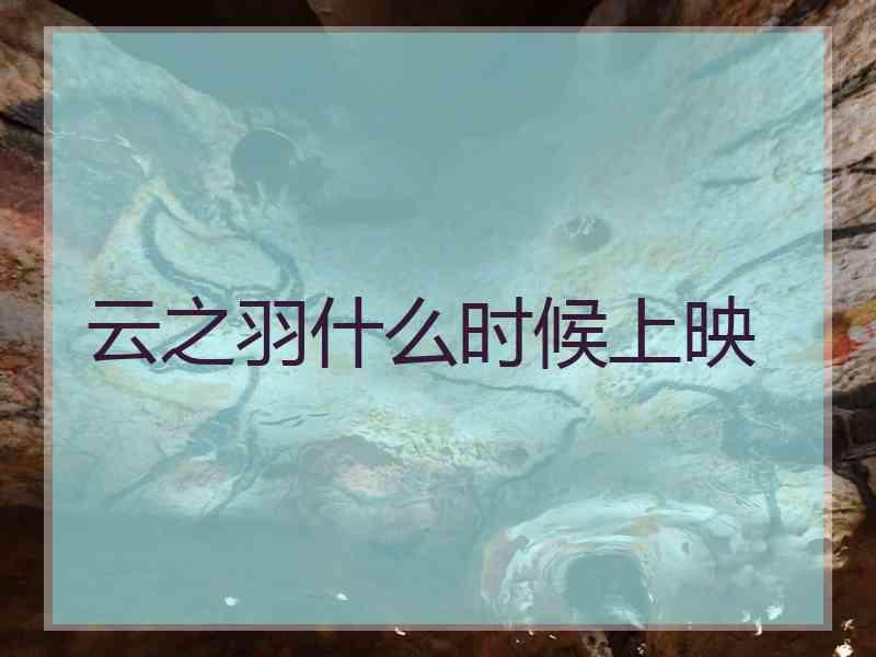 云之羽什么时候上映 云之羽什么时候上映