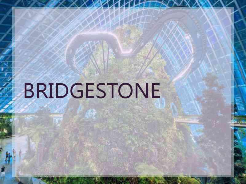 BRIDGESTONE BRIDGESTONE