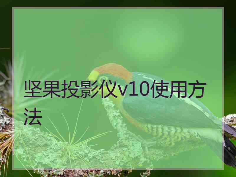 坚果投影仪v10使用方法 坚果投影仪v10使用方法