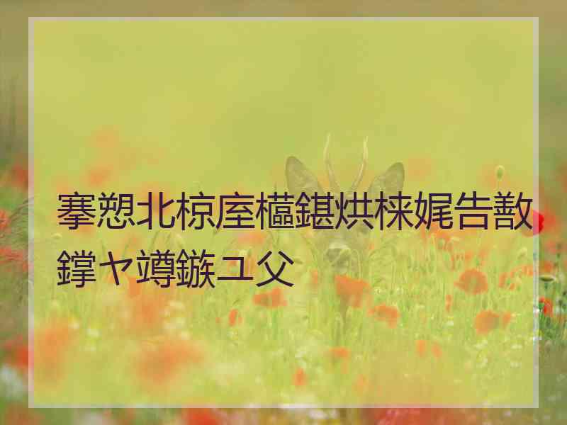 搴愬北椋庢櫙鍖烘梾娓告敾鐣ヤ竴鏃ユ父 搴愬北椋庢櫙鍖烘梾娓告敾鐣ヤ竴鏃ユ父