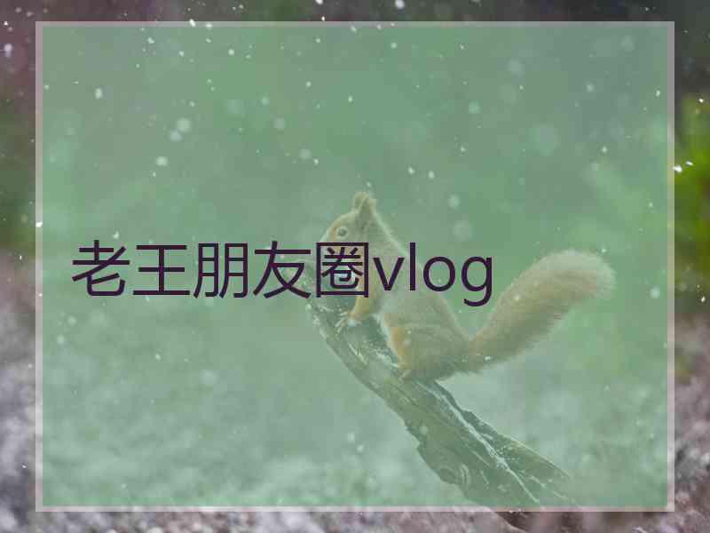 老王朋友圈vlog 老王朋友圈vlog