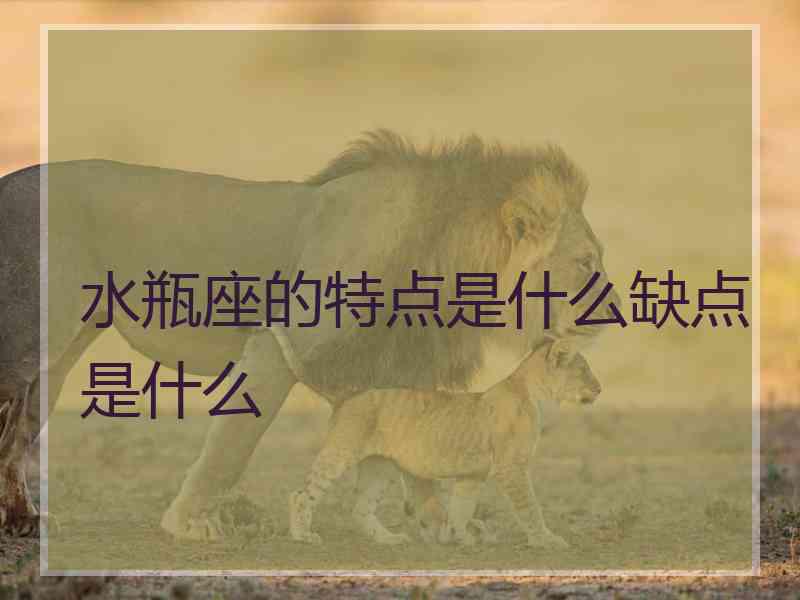 水瓶座的特点是什么缺点是什么 水瓶座的特点是什么缺点是什么