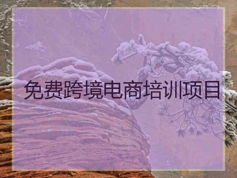 免费跨境电商培训项目 免费跨境电商培训项目