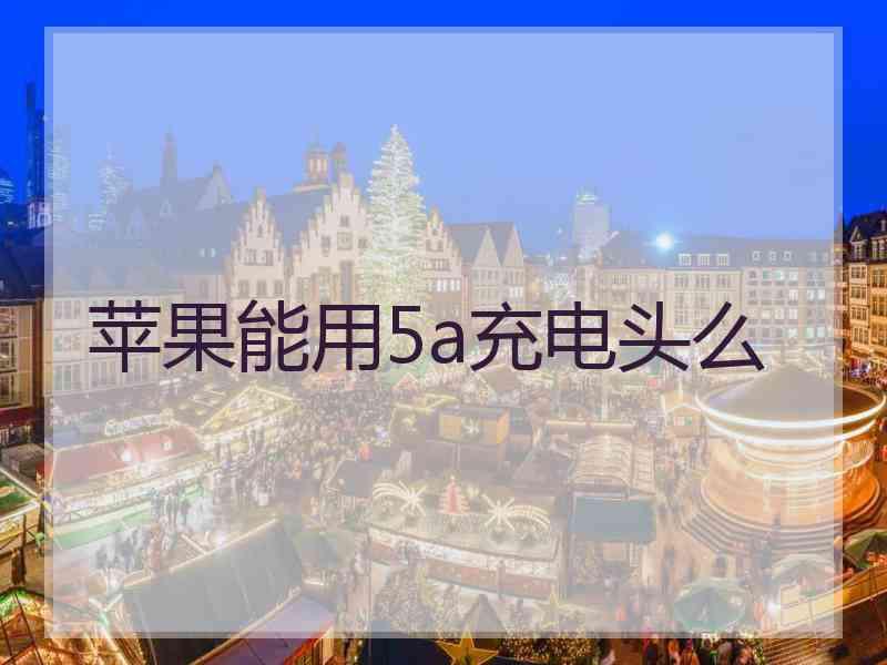 苹果能用5a充电头么 苹果能用5a充电头么