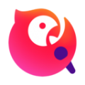 菜鸟加速器