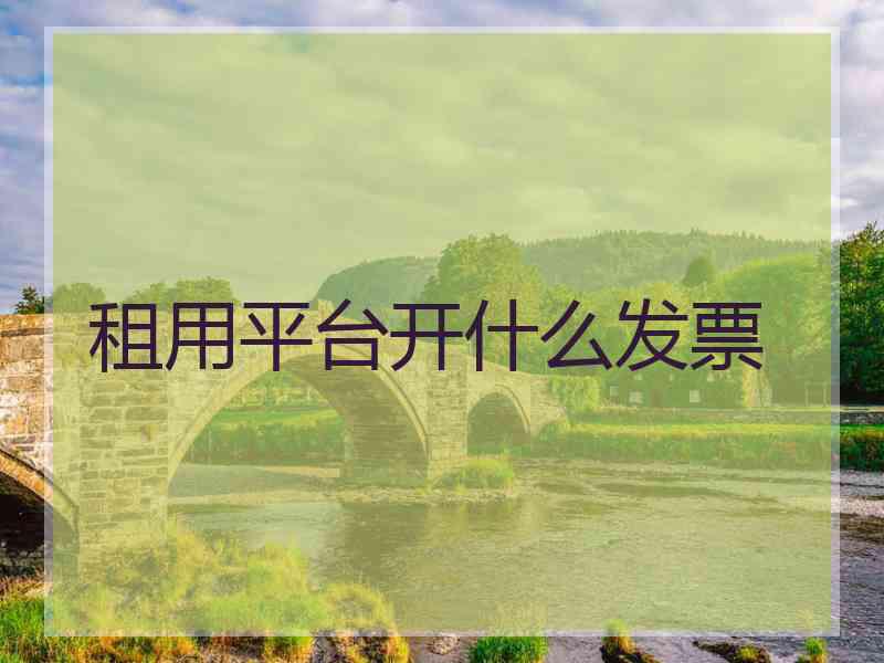 租用平台开什么发票