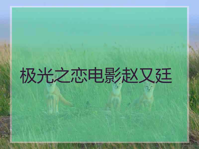 极光之恋电影赵又廷
