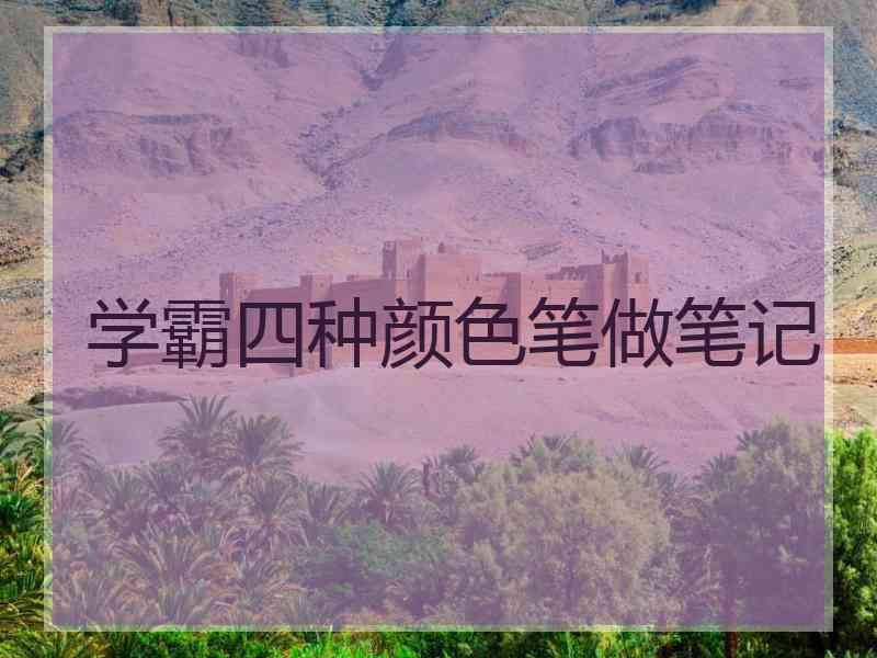 学霸四种颜色笔做笔记
