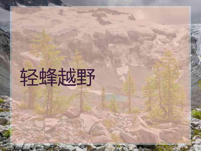 轻蜂越野