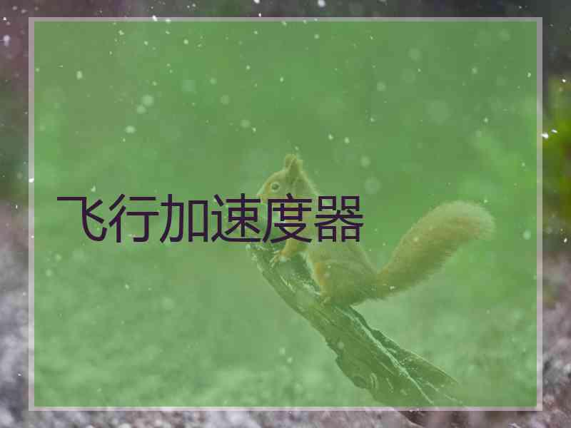 飞行加速度器