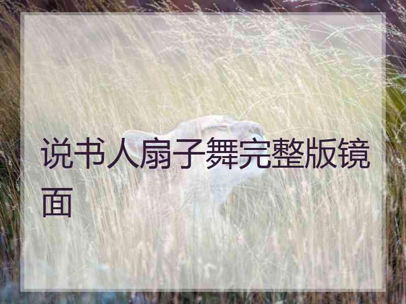 说书人扇子舞完整版镜面