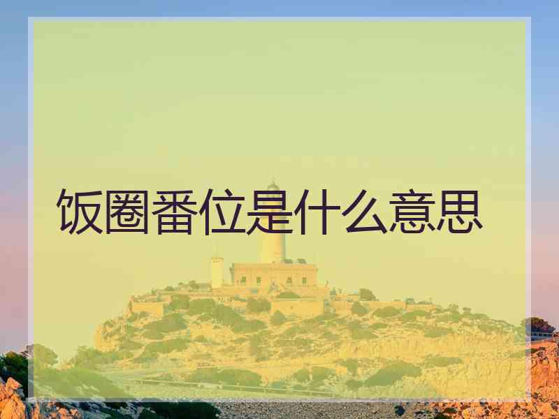饭圈番位是什么意思