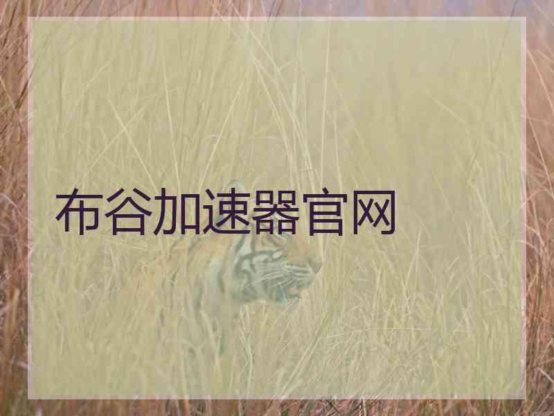 布谷加速器官网