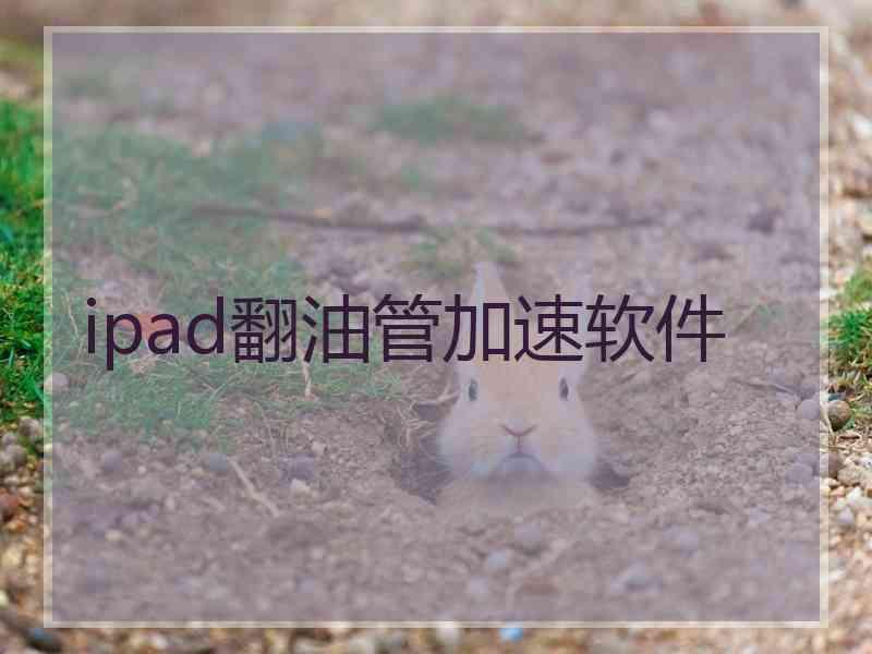 ipad翻油管加速软件