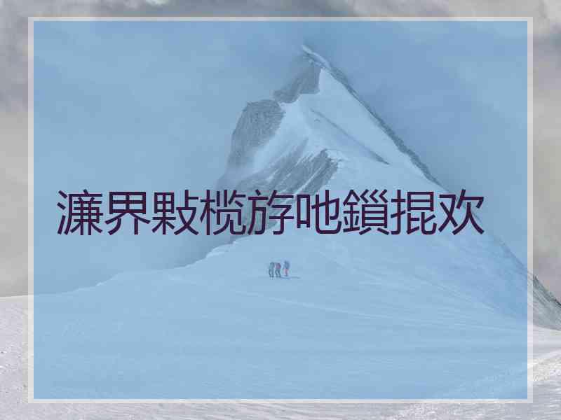 濂界敤榄斿吔鎻掍欢