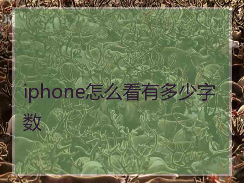 iphone怎么看有多少字数