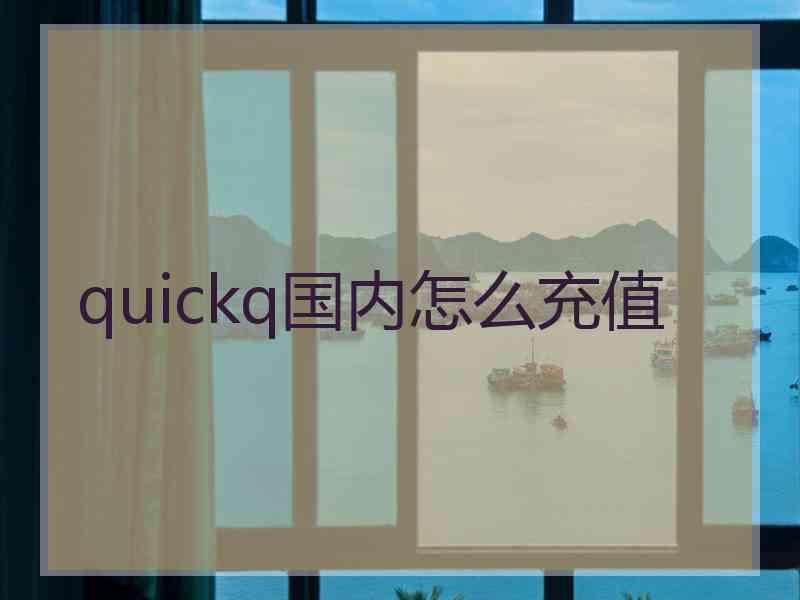 quickq国内怎么充值