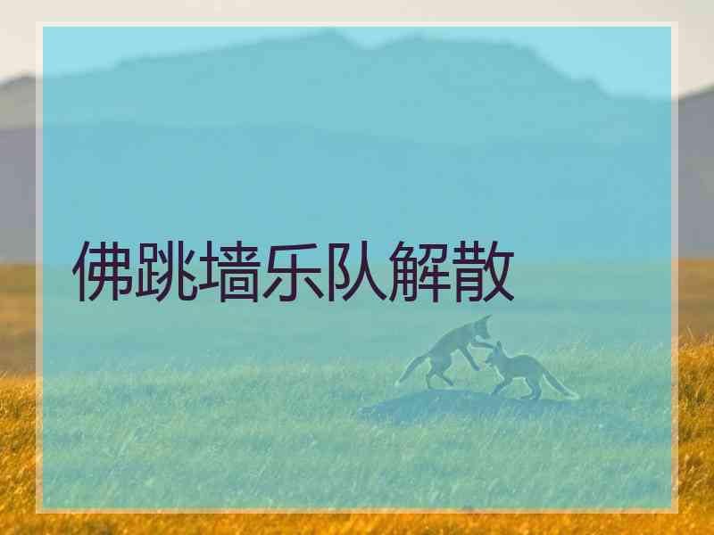 佛跳墙乐队解散