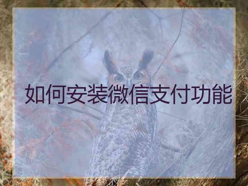 如何安装微信支付功能