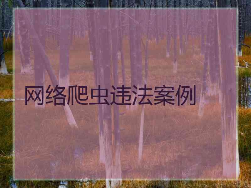 网络爬虫违法案例