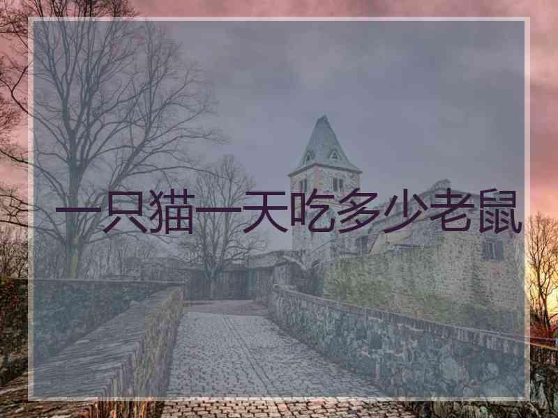 一只猫一天吃多少老鼠
