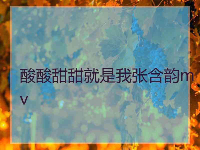 酸酸甜甜就是我张含韵mv