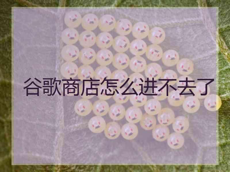 谷歌商店怎么进不去了