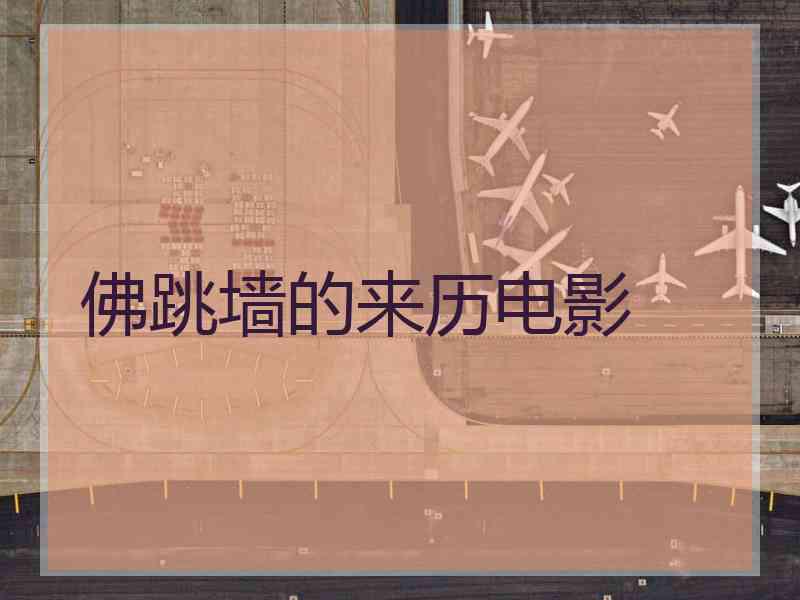 佛跳墙的来历电影