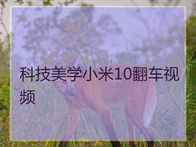 科技美学小米10翻车视频
