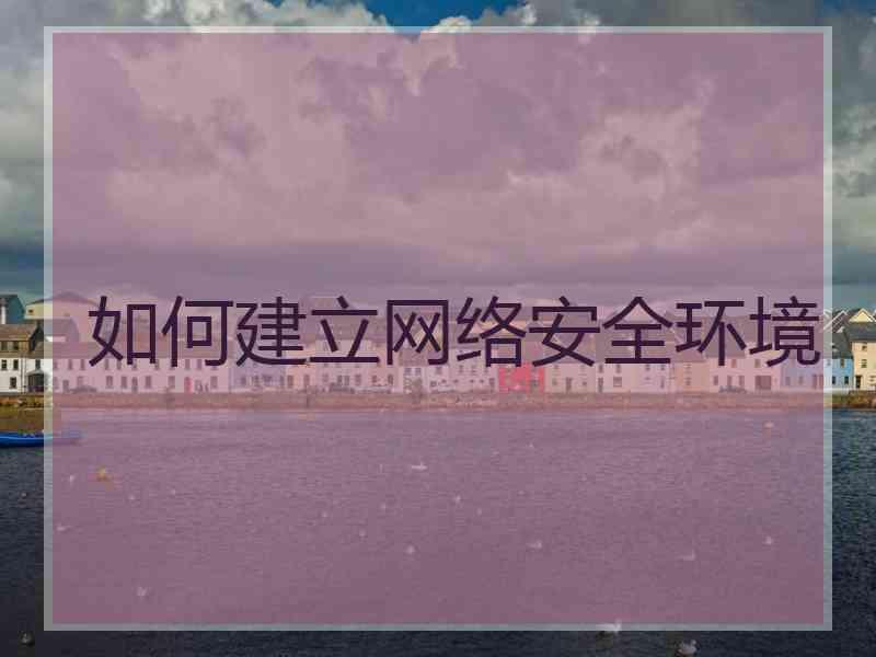 如何建立网络安全环境