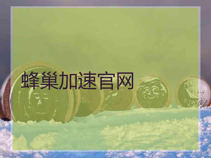 蜂巢加速官网
