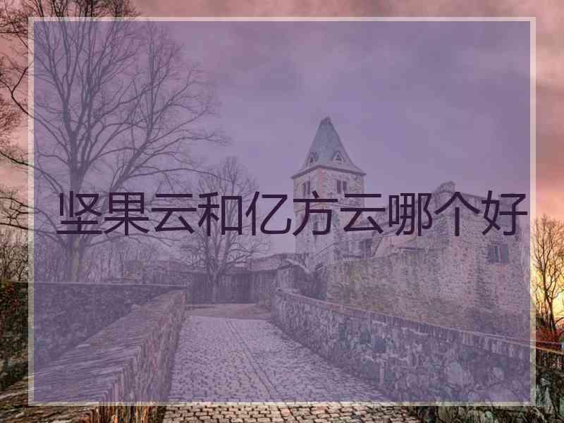 坚果云和亿方云哪个好