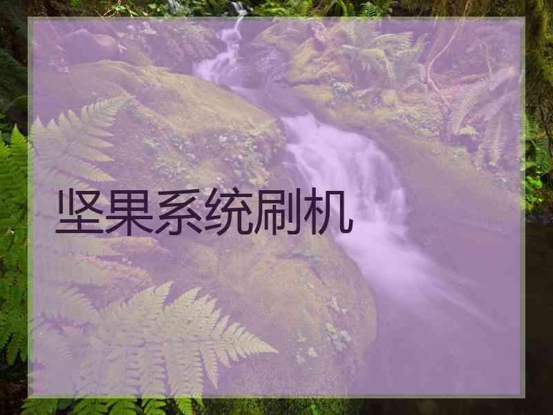 坚果系统刷机