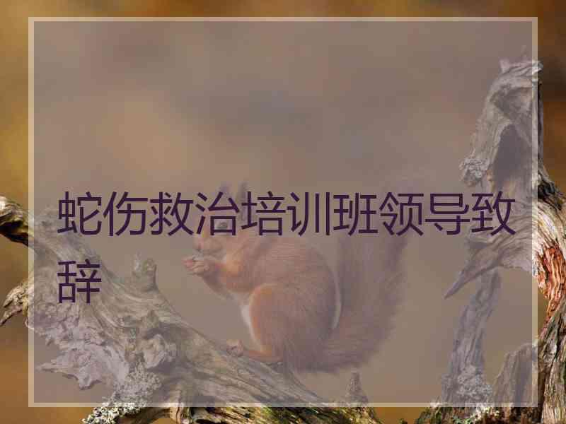 蛇伤救治培训班领导致辞