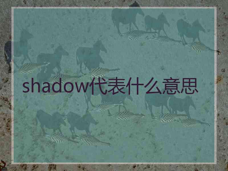 shadow代表什么意思